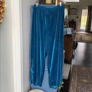 LIKE NEW Denim & Co Teal Velvet Pants Size 4X